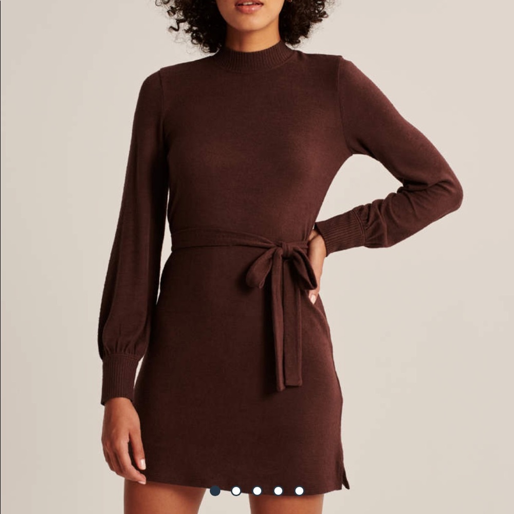 Long-Sleeve Cozy Belted Mini Dress